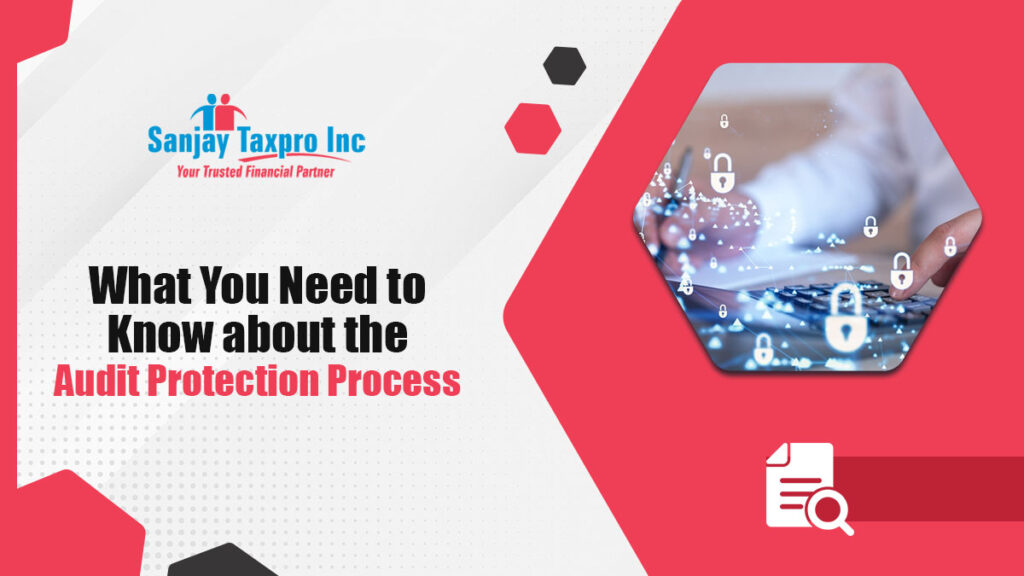 Audit Protection Process