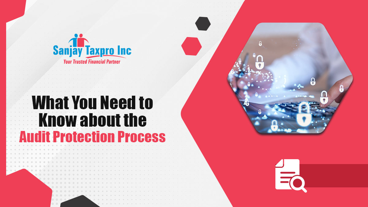 Audit Protection Process